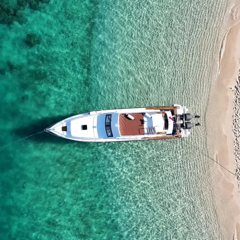 Open Trip Satu Hari Taman Nasional Komodo Dengan Boat Mewah (LUXURY SPEEDBOAT)