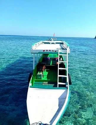 Paket Wisata Satu Hari Taman Nasional Komodo Dengan Kapal Open Deck
