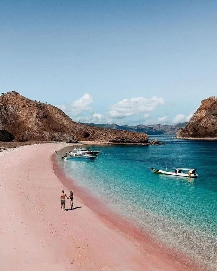 Boat tour Gili Pantai pink