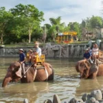 Bali Zoo
